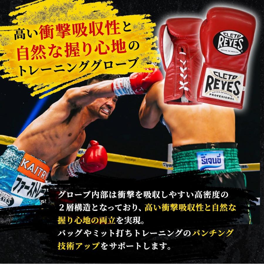 Reyes（レイジェス） 競技用公式 グローブ Steel Snake【プロ用 紐式