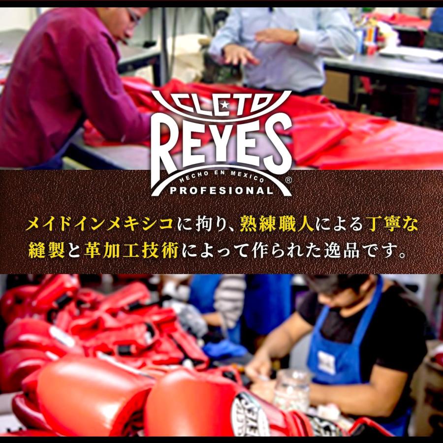 Reyes（レイジェス） ヘッドギア ナイロンバー付き・フルフェイス