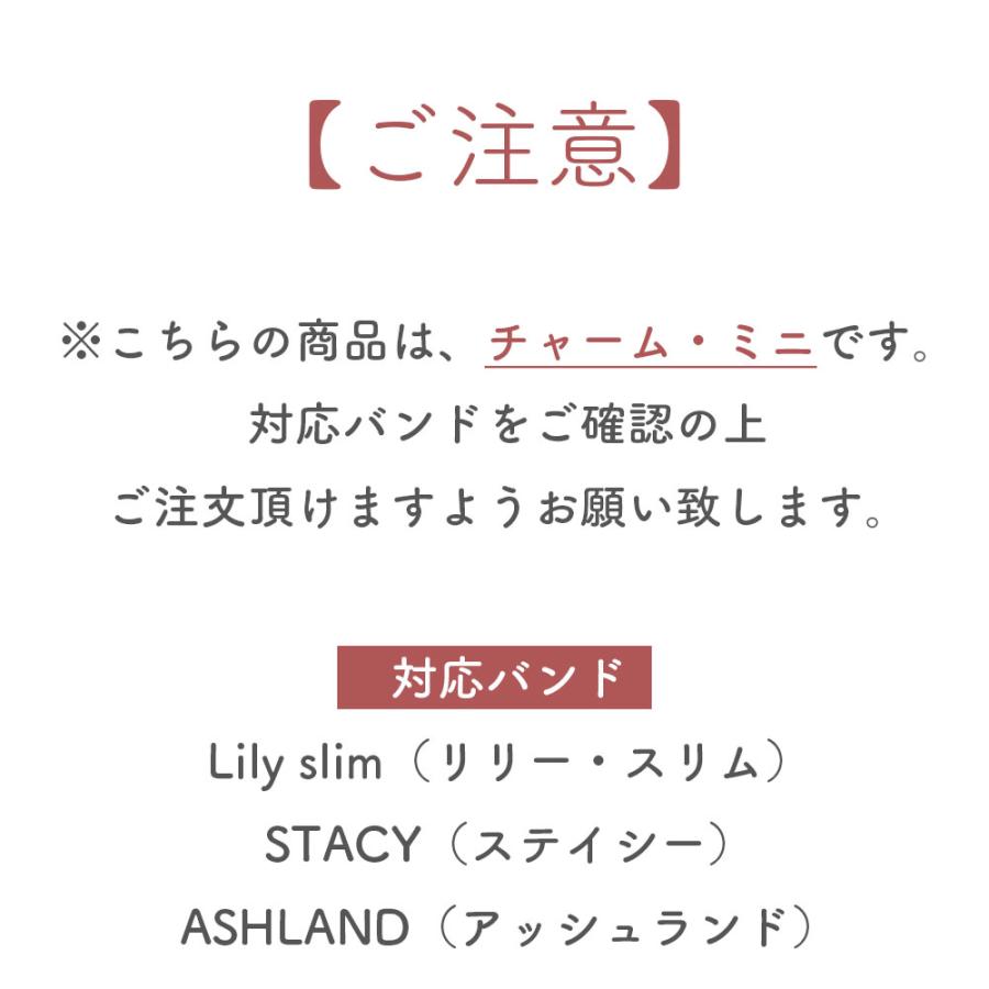 チャーム ミニ アクセサリー for Lily slim / STACY アップルウォッチ バンド 8 7 SE レディース かわいい イニシャル キラキラ 華やか ローズゴールド | エンパイア | 05