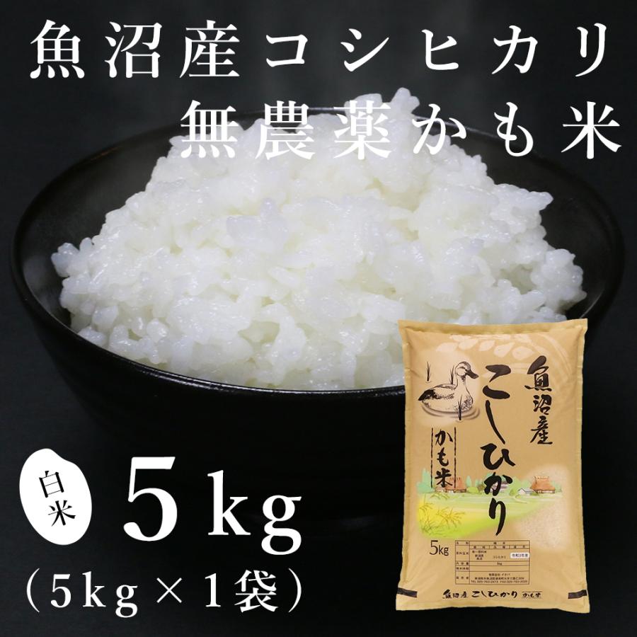 コシヒカリ 魚沼産コシヒカリ「無農薬かも米」5kg（令和6年産