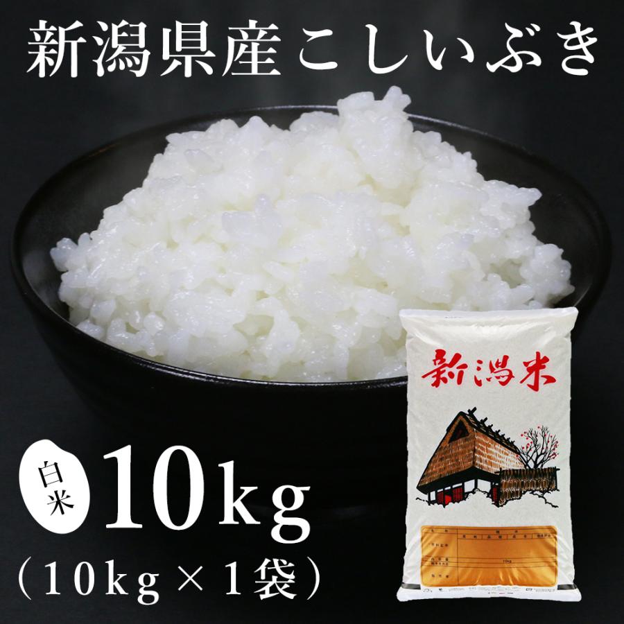 新潟県産こしいぶき 10kg（令和7年産） | こしいぶき