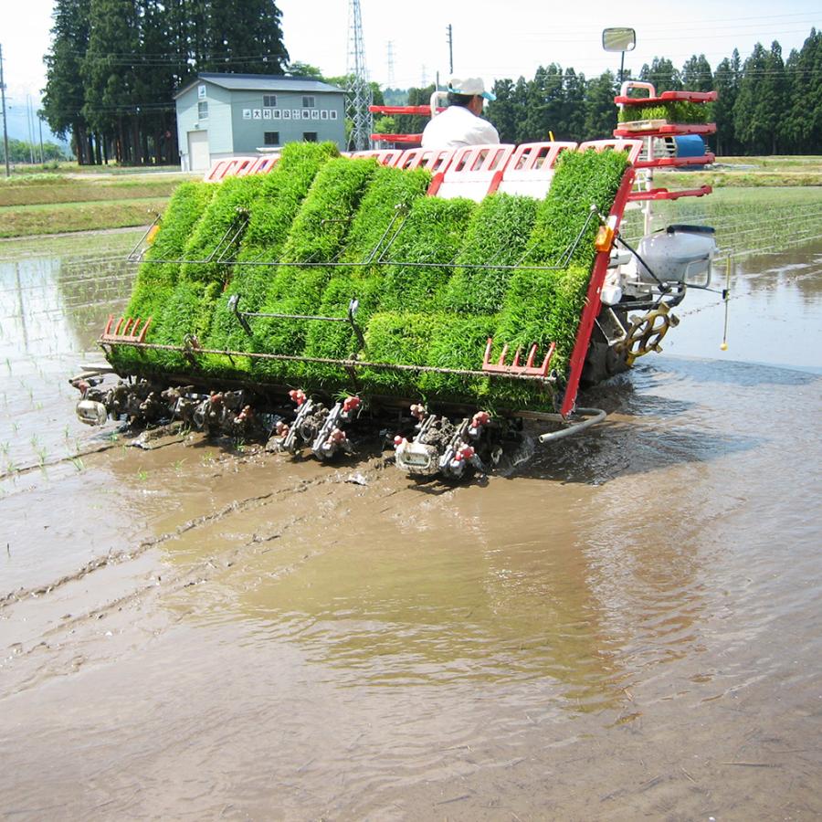 【玄米】魚沼産ゆうだい21 玄米5kg（令和7年産） |  | 02