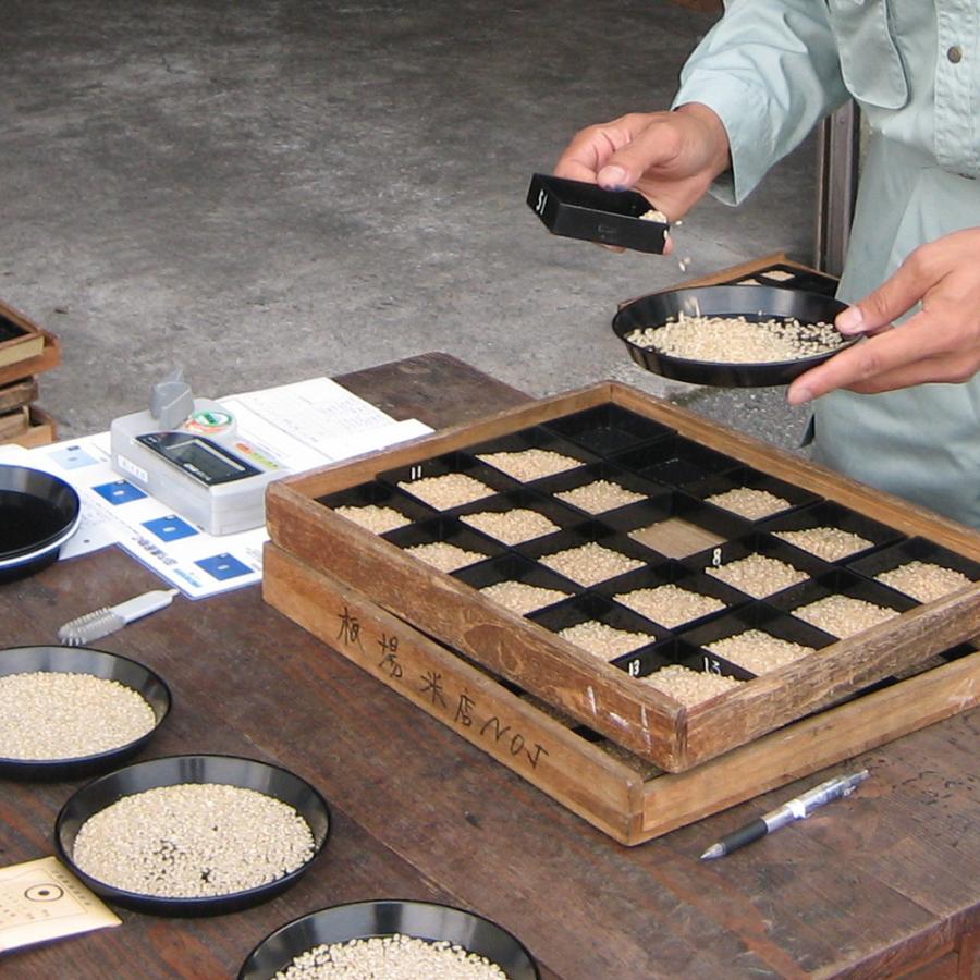 中魚沼産「新之助(しんのすけ)」10kg（令和5年産）｜itaba-net｜06