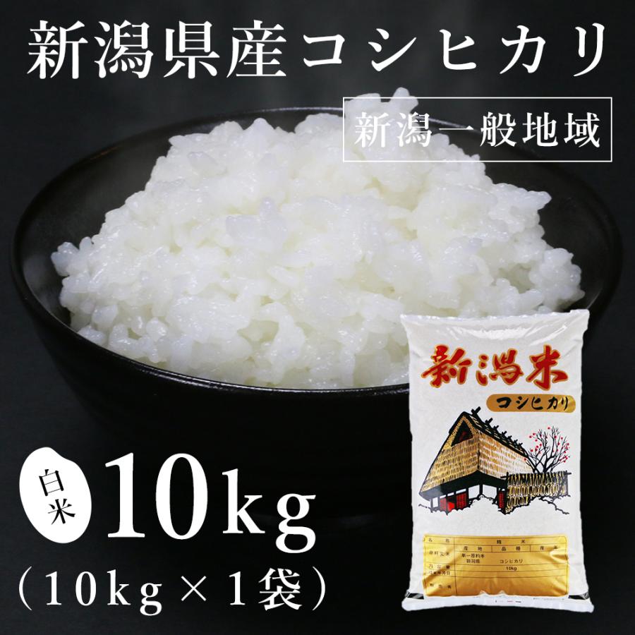 新潟県産一般地域 コシヒカリ 10kg（令和6年産） | コシヒカリ