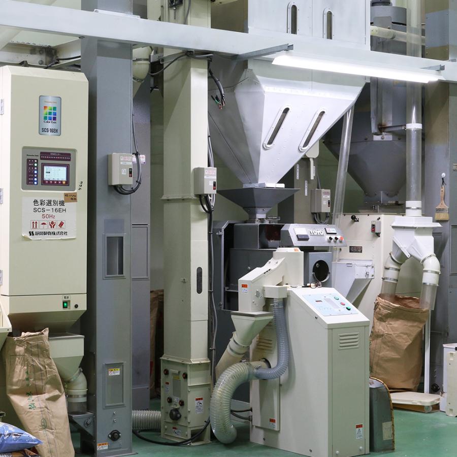 新潟県産一般地域 コシヒカリ 10kg（令和6年産） | コシヒカリ | 05