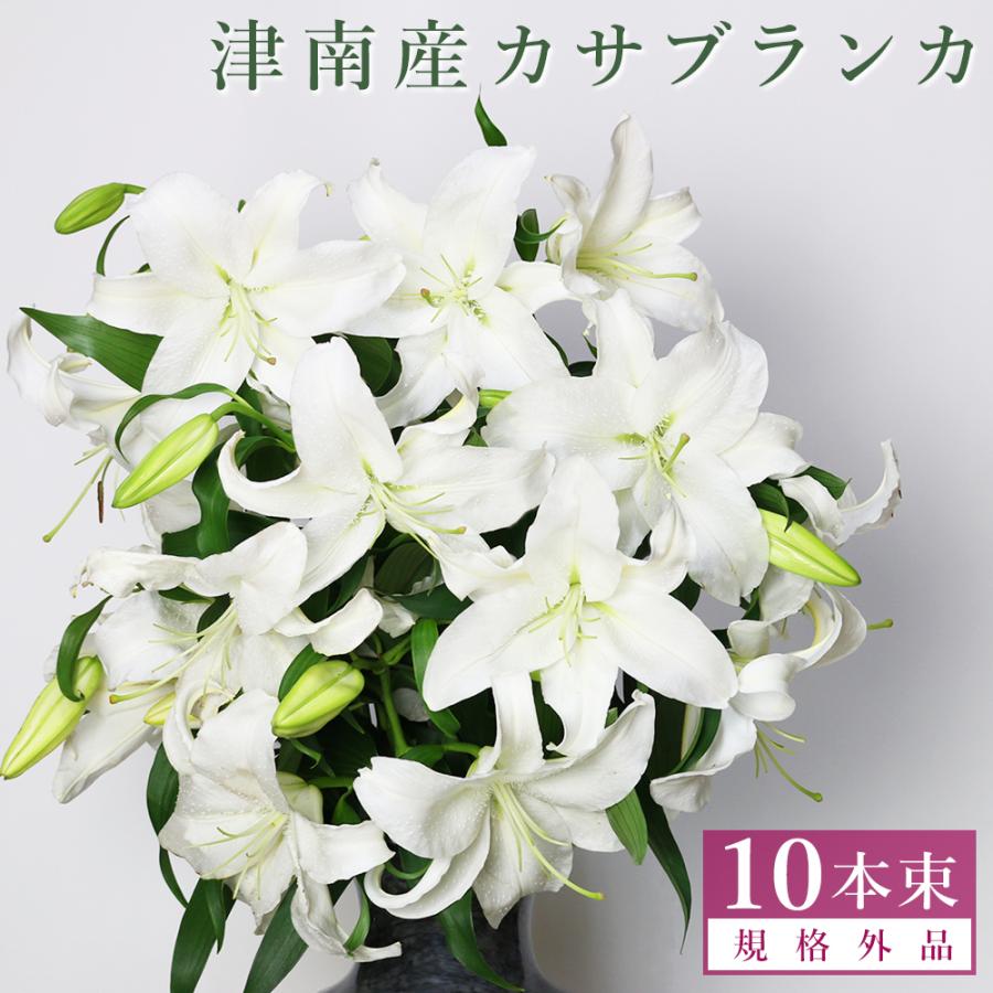 カサブランカ 規格外品 10本束セット | 