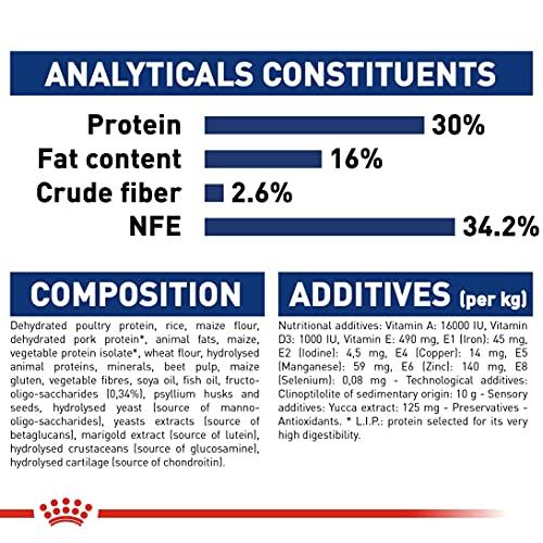 ロイヤルカナン SHN マキシ ジュニア 犬用 10kg 