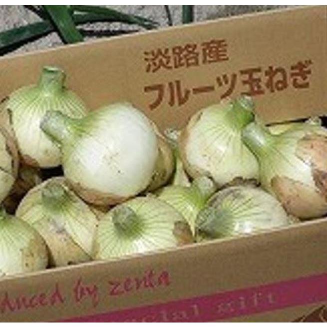 送料無料 新物フルーツ玉ねぎ 20kg 淡路島 『玉ねぎ工房善太』 4月初旬から順次発送の画像