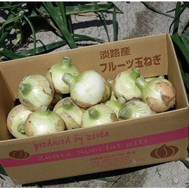 送料無料 新物フルーツ玉ねぎ 20kg 淡路島 『玉ねぎ工房善太』 4月初旬から順次発送の画像