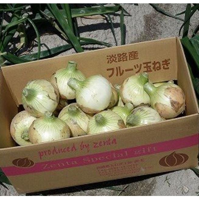 送料無料 新物フルーツ玉ねぎ 20kg 淡路島 『玉ねぎ工房善太』 4月初旬から順次発送の画像