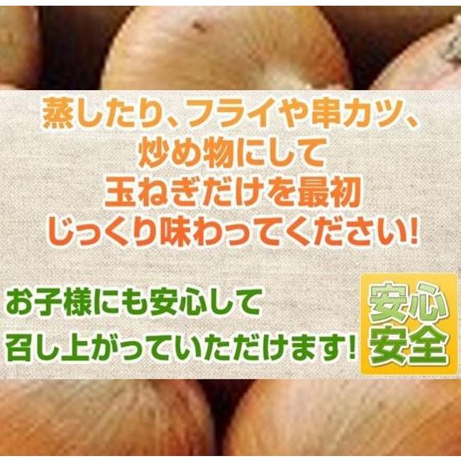 送料無料 新物フルーツ玉ねぎ 20kg 淡路島 『玉ねぎ工房善太』 4月初旬から順次発送の画像