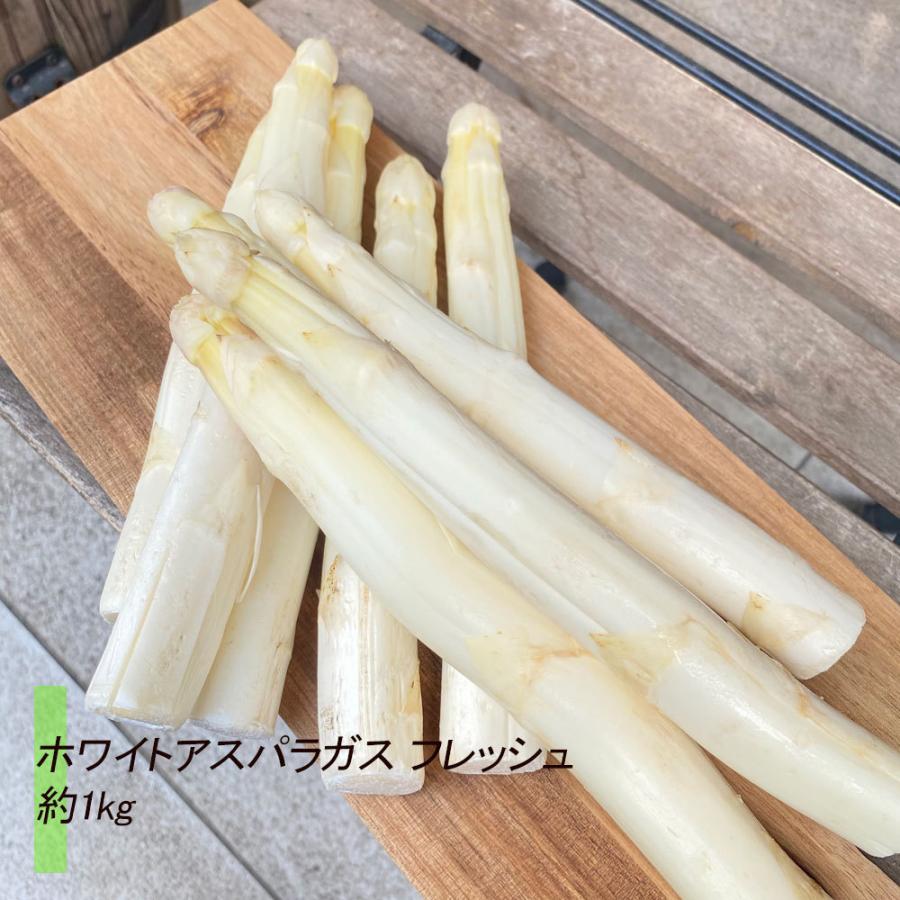ファクトリーアウトレット ホワイト アスパラガス フレッシュ 約1kg フランスまたはイタリア産