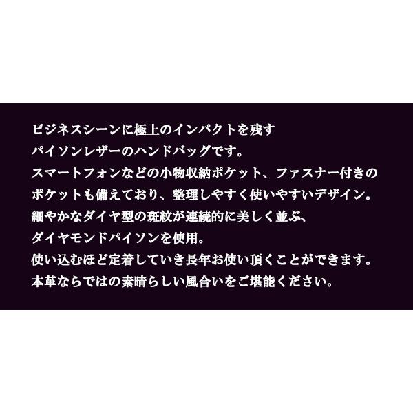 パイソン ヘビ セカンドバッグ 日本製 ダイヤルロック付き ビジネス