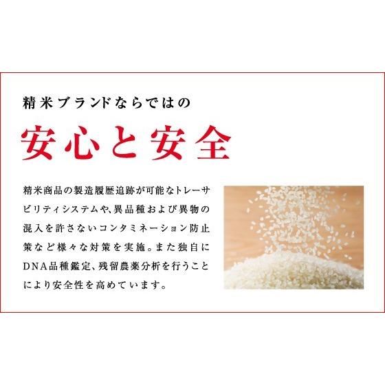 精米 5kg 送料無料 白米 令和5年産 滋賀県産キヌヒカリ 5kg 伊丹米 ギフト 内祝い 熨斗承ります きぬひかり｜itamimai｜04