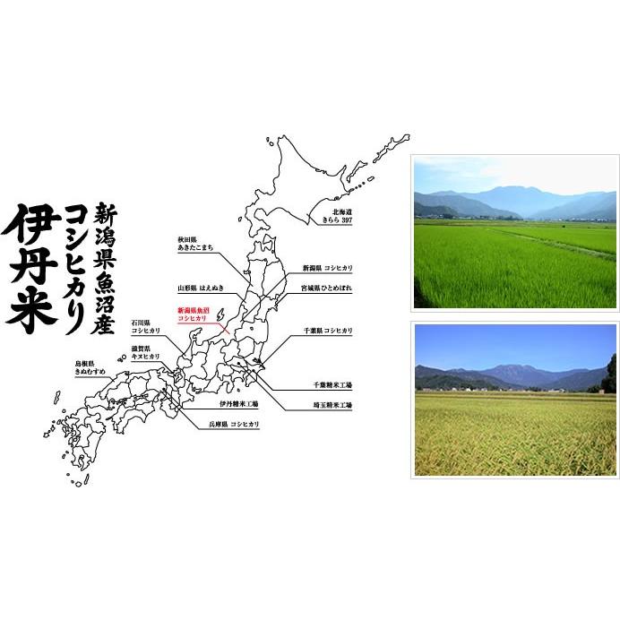 精米 新潟県魚沼産コシヒカリ 5kgX2袋 こしひかり お米 送料無料 令和7年産 伊丹米 白米 ギフト 内祝い 熨斗承ります