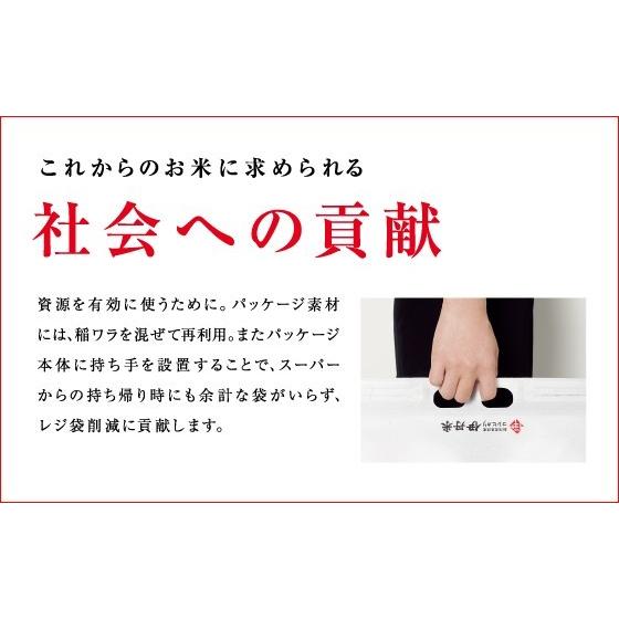 精米 ギフト 新潟コシヒカリ 10kg 新潟県産コシヒカリ 令和5年産 こしひかり お米 送料無料 伊丹米 内祝い 熨斗承ります｜itamimai｜07