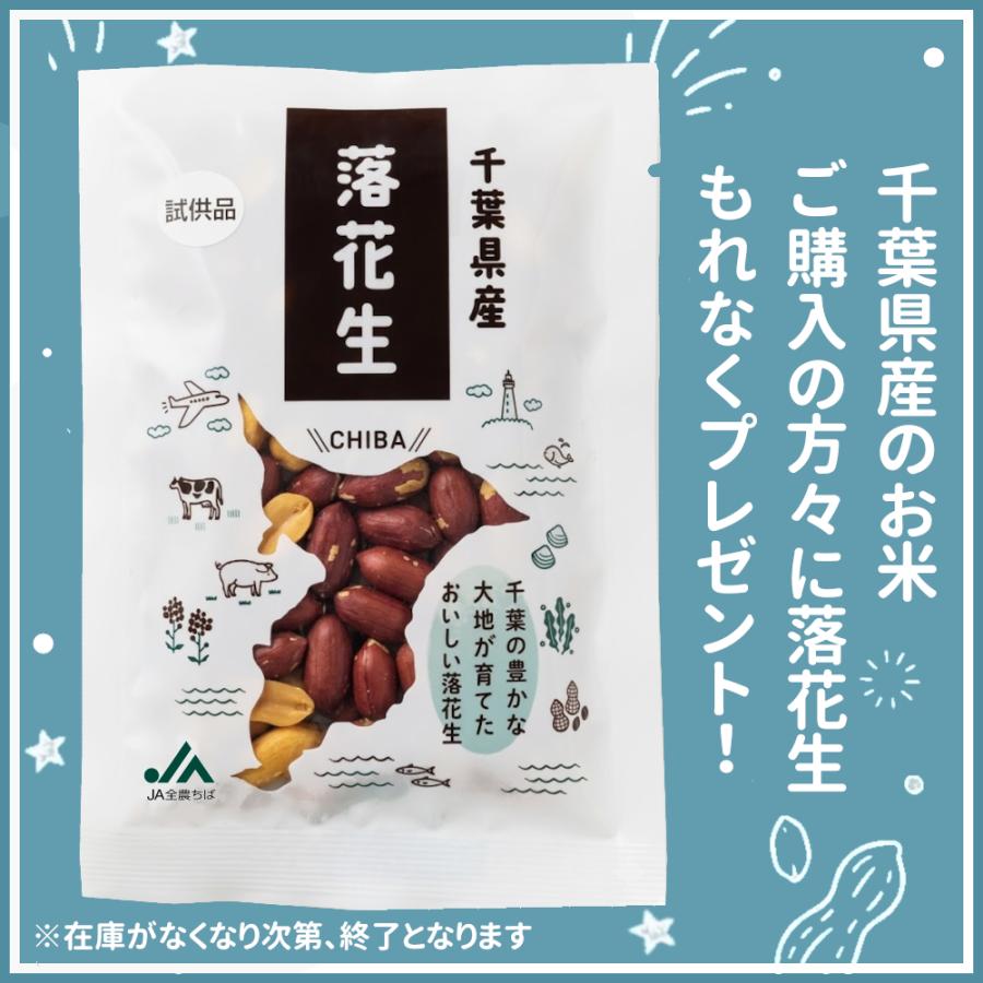 精米 ふさこがね お米 5kg 千葉県産 送料無料 白米 令和7年産 伊丹米