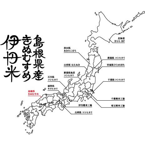精米 きぬむすめ 島根県産きぬむすめ 5kg 送料無料 令和7年産 お米