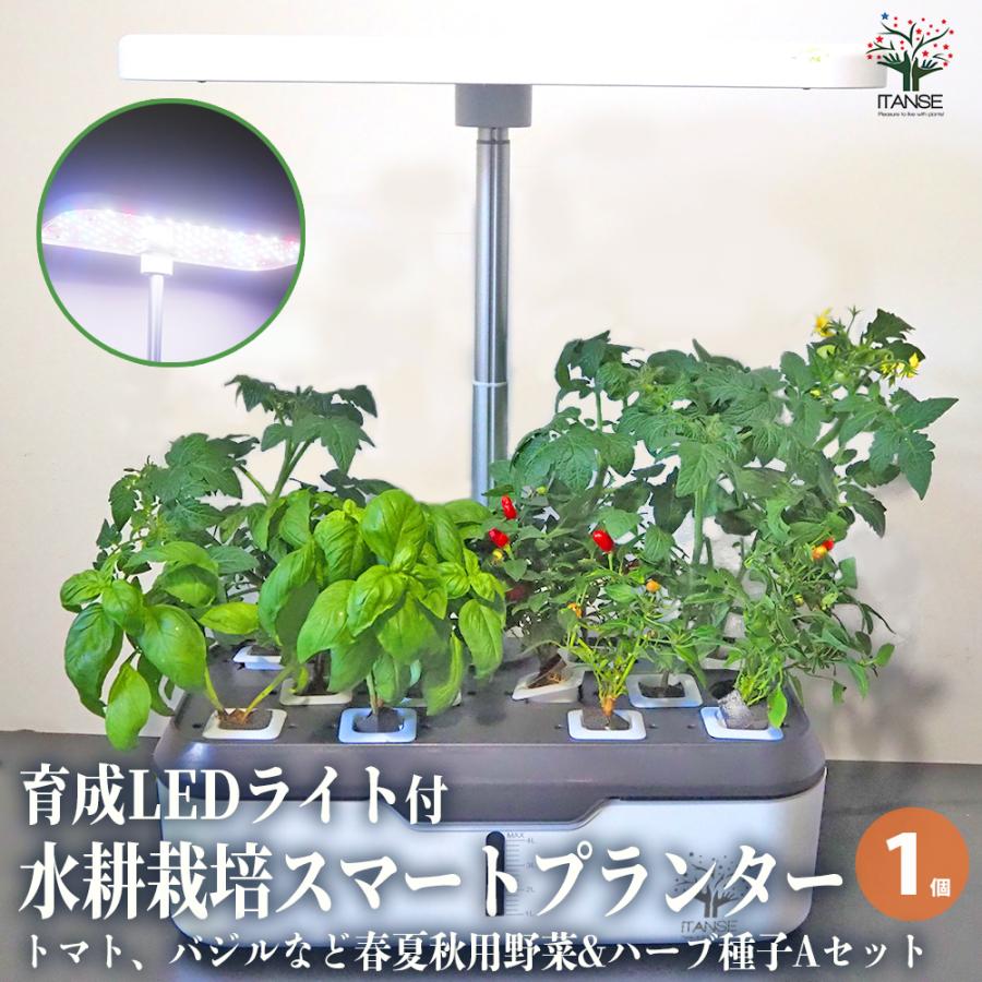 水耕栽培スマートプランターライト付 種子Aセット /1個売り 育成ライト
