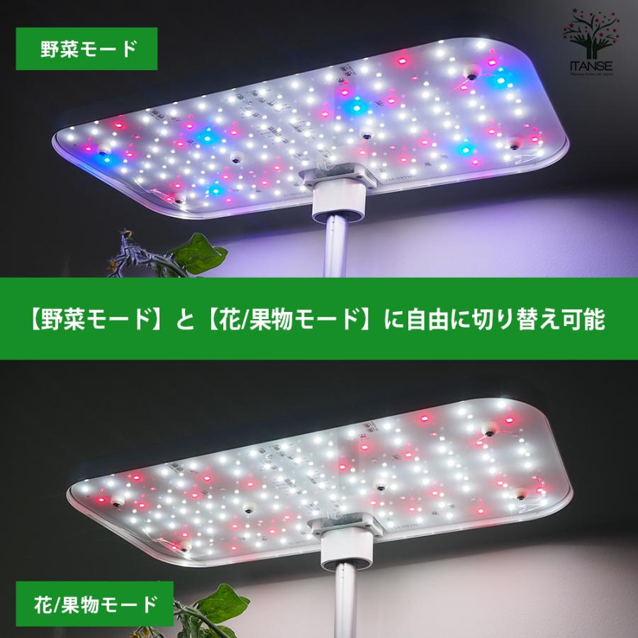 水耕栽培スマートプランターライト付 種子Aセット /1個売り 育成ライト