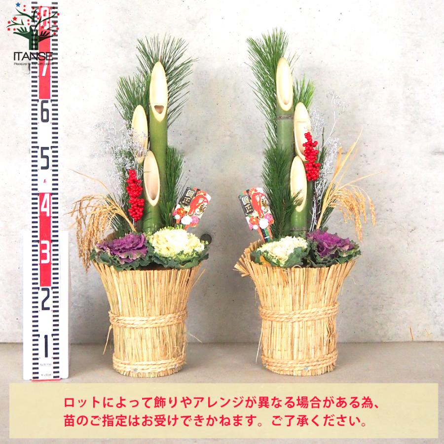 12/26出荷予定】ITANSE お正月飾り 門松(かどまつ) こも巻 お買い得2個  