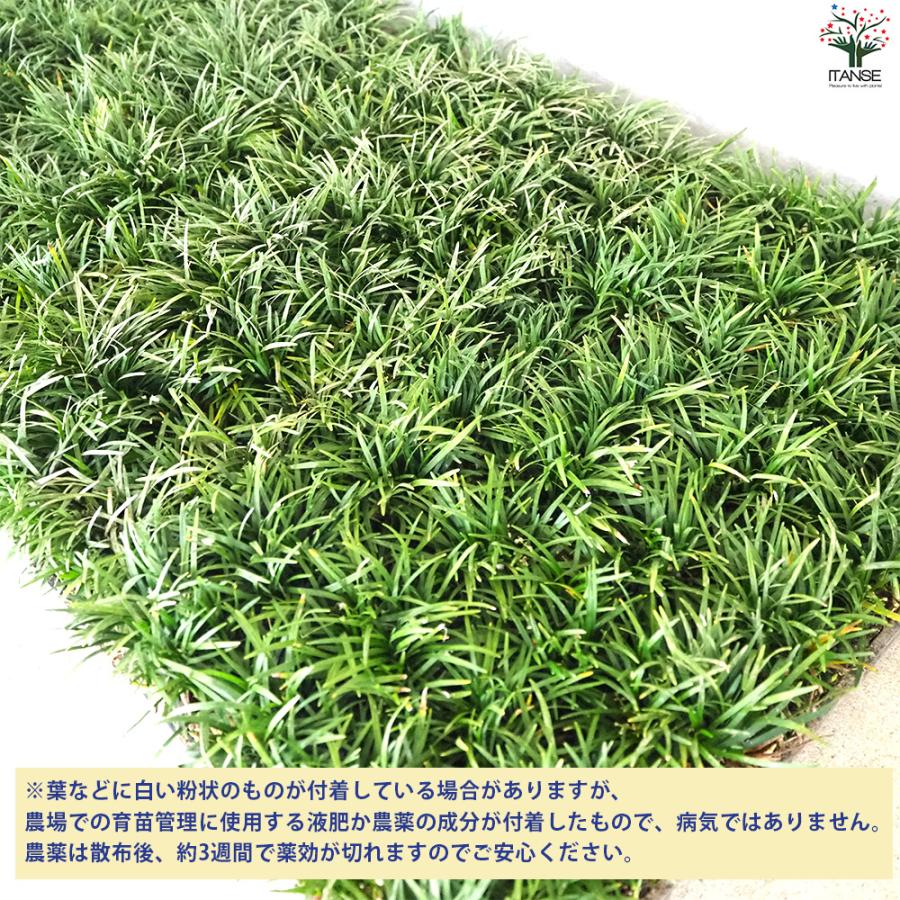 安安の夏休み 朱天文 田村志津枝 安安の夏休み /筑摩書房/朱天文