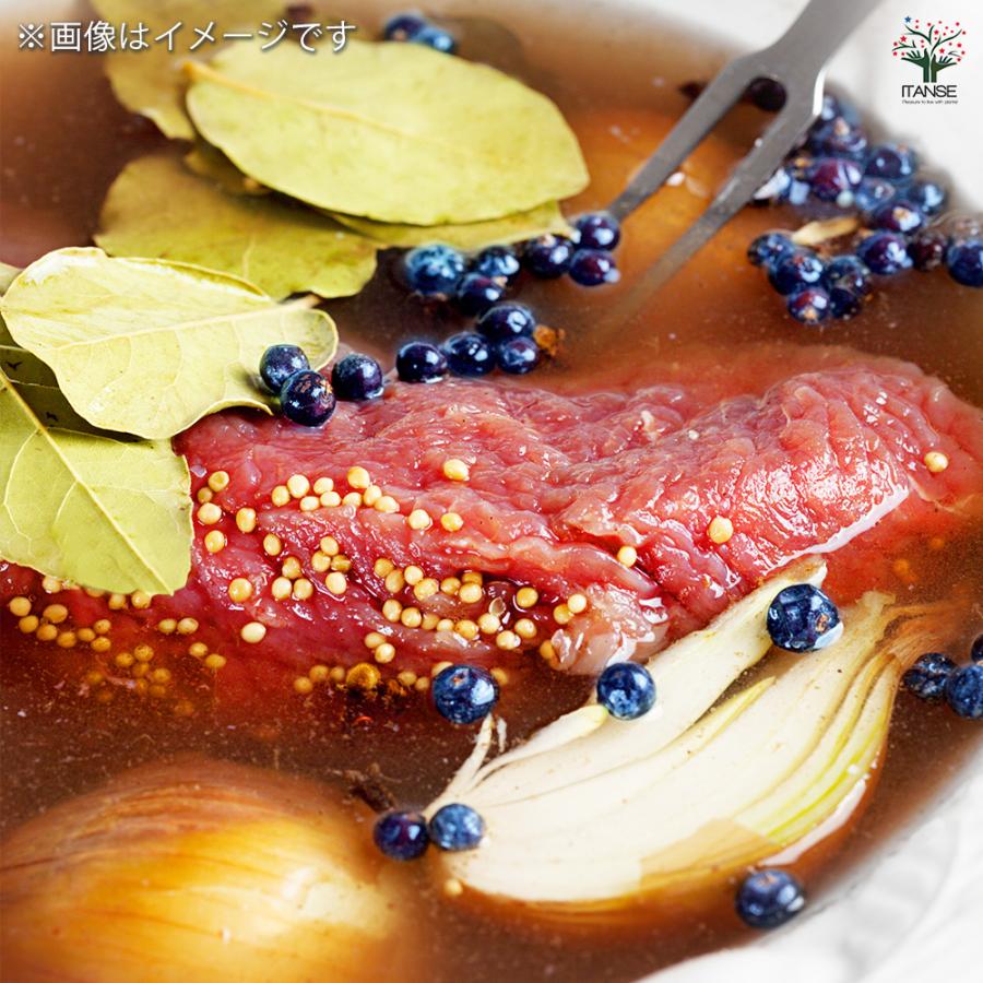 ITANSE 月桂樹(ゲッケイジュ) ローリエ 花木苗 6号ポット/1個売り