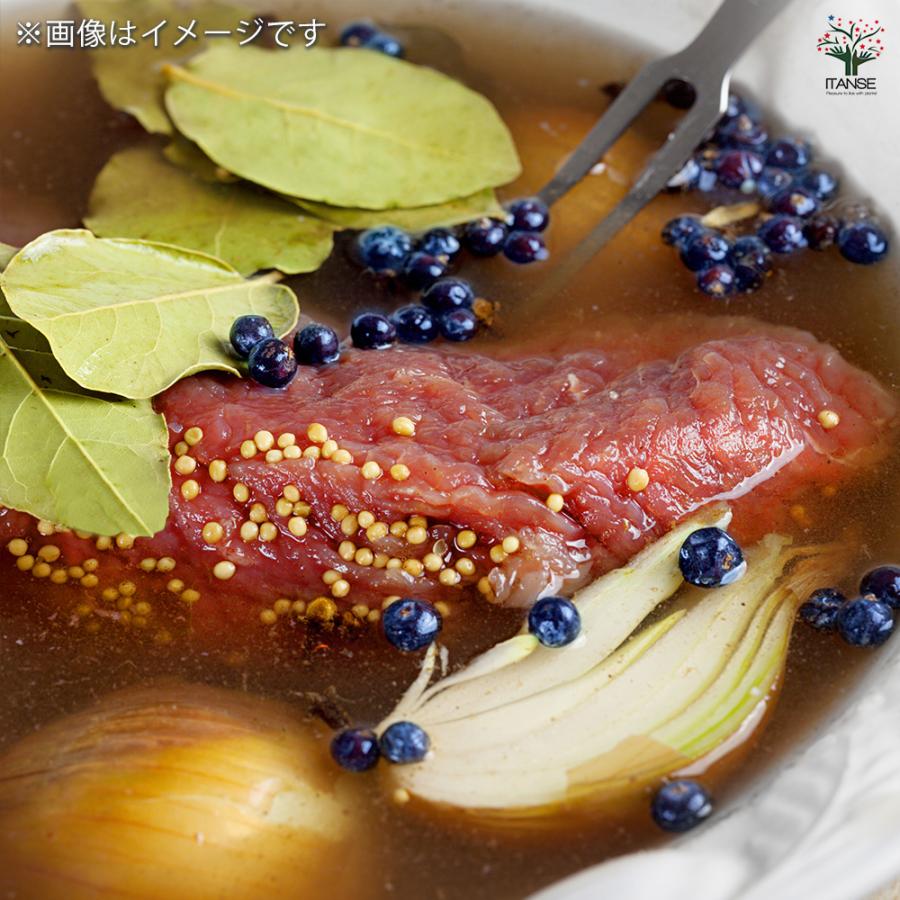 月桂樹の若木 先だつもの月桂樹 花木苗 3.5号/お買い得6個仕かける 月桂樹の苗 月桂樹苗 月桂樹若木 ゲッケイジュ 若木 置き目リエ ローレル 常緑天然木