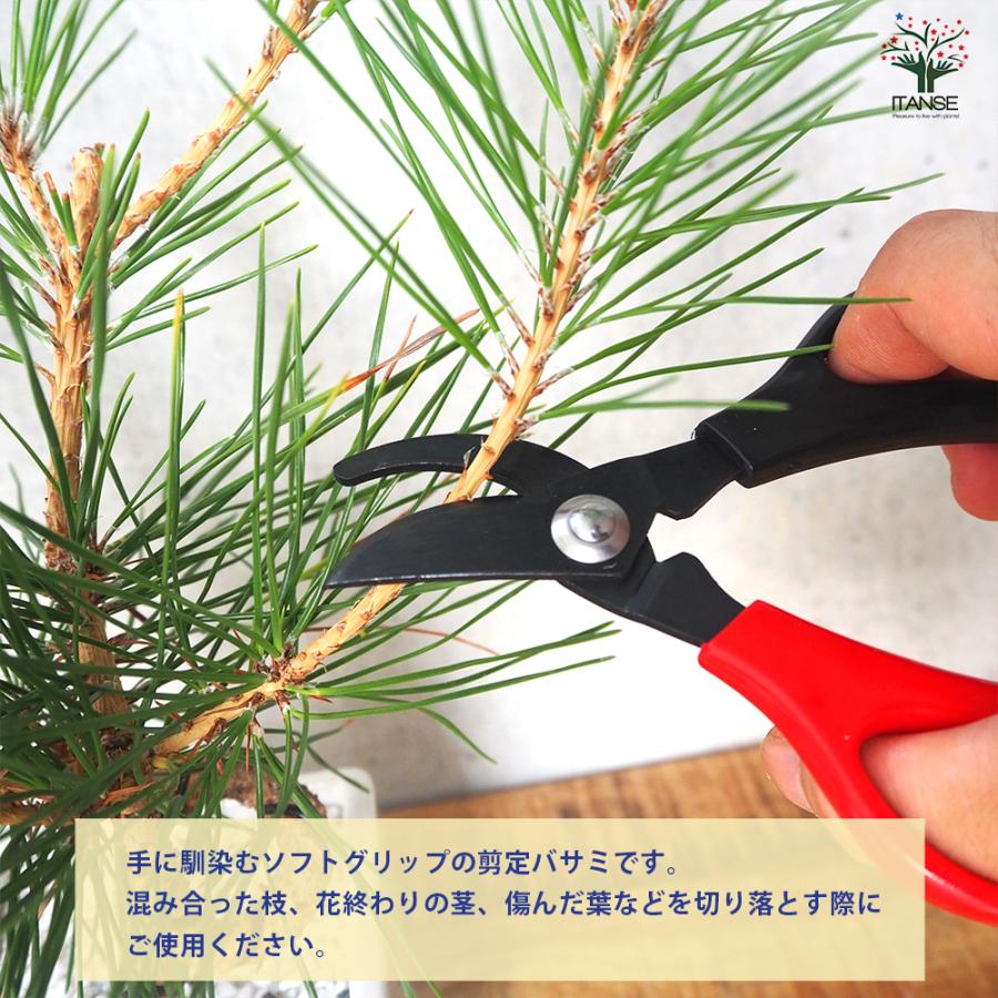 ITANSE 園芸バサミ 園芸用はさみ 便利・園芸グッズ/1個売り 剪定ばさみ