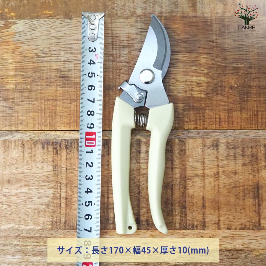 選定はさみ ITANSE らくらくバネ付 剪定バサミ 園芸用はさみ 便利・園芸グッズ/1個