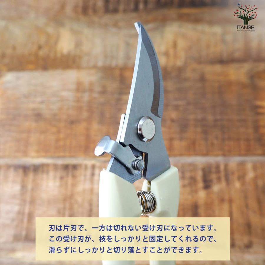 ITANSE らくらくバネ付 剪定バサミ 園芸用はさみ 便利・園芸グッズ/1個