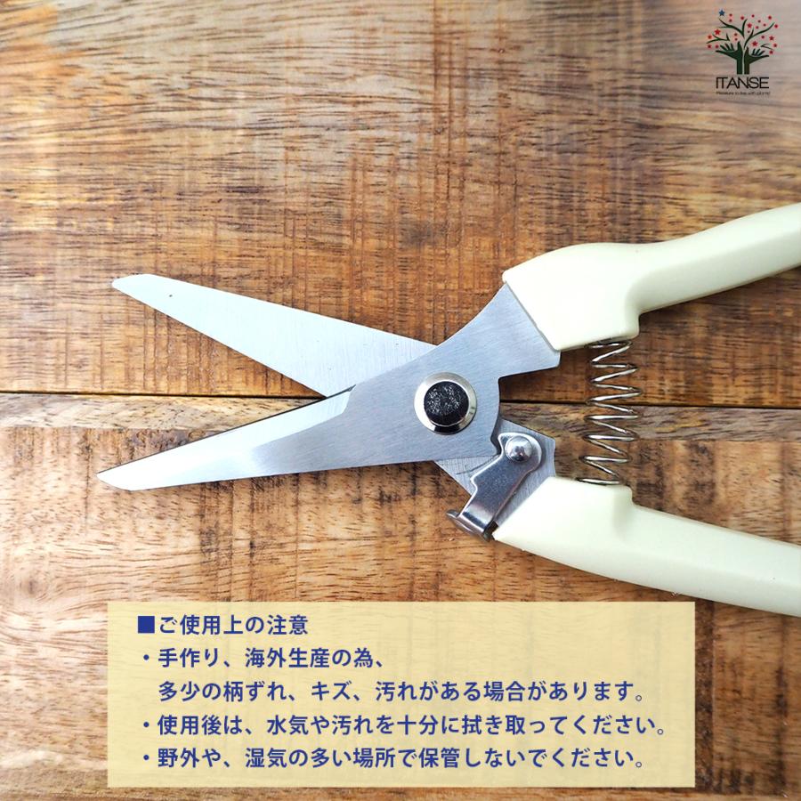 ITANSE らくらくバネ付 芽切りバサミ 園芸用はさみ 便利・園芸グッズ/1
