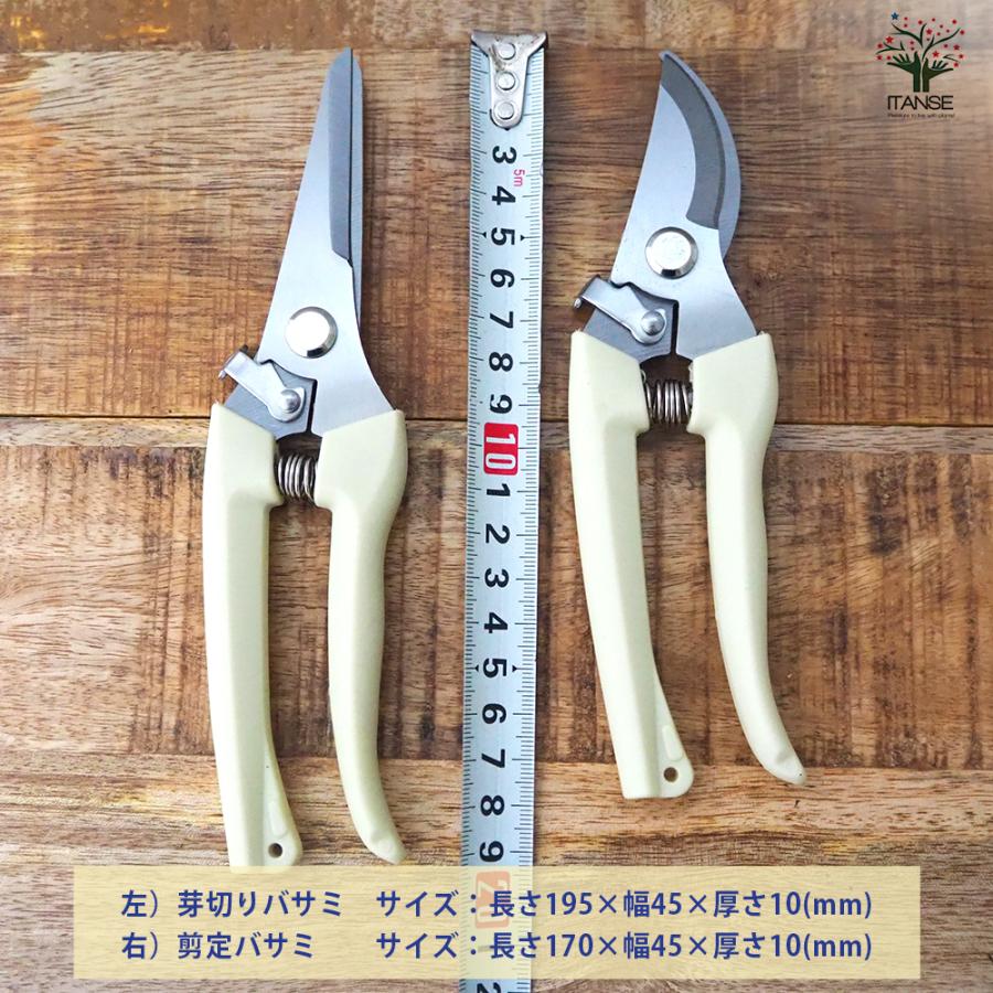 ITANSE らくらくバネ付 剪定＆芽切りバサミセット 園芸用はさみ 便利