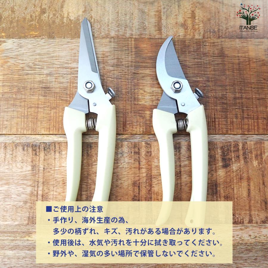 ITANSE らくらくバネ付 剪定＆芽切りバサミセット 園芸用はさみ 便利