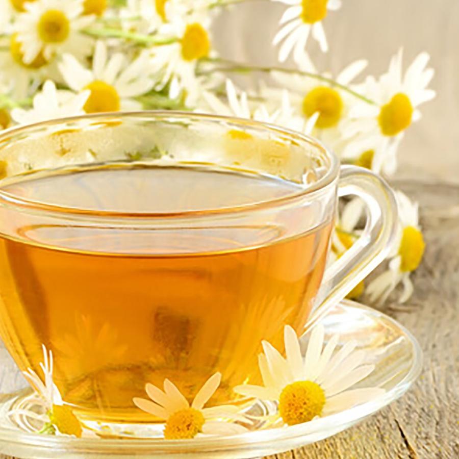 ハーブ苗 ローマンカモミール 9cmポット 3個セット 送料無料 Her 野菜苗 植物 青果物販売のitanse 通販 Yahoo ショッピング