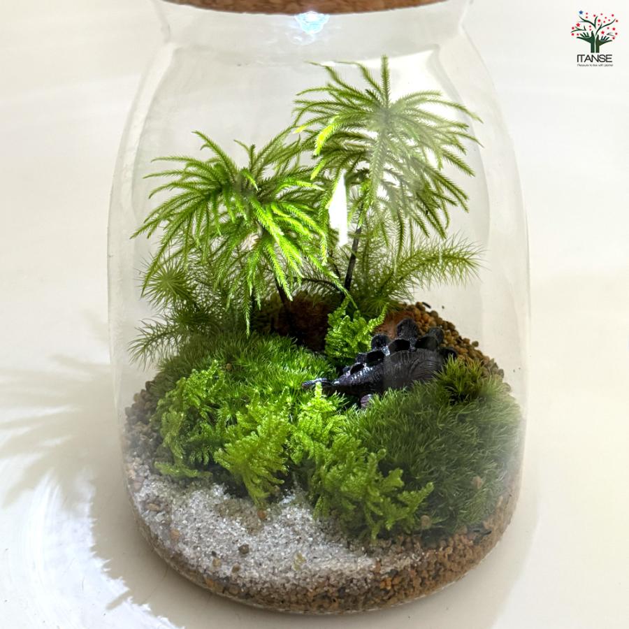 苔テラリウム 4〜5種寄せ植え LED付き 恐竜 観葉植物 /1個売り