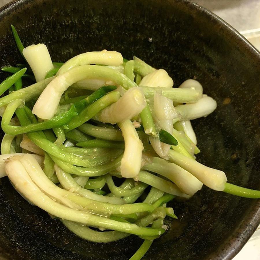 人気 野菜種球根 あさつき 充填時200g 1袋 送料無料|itanse|08