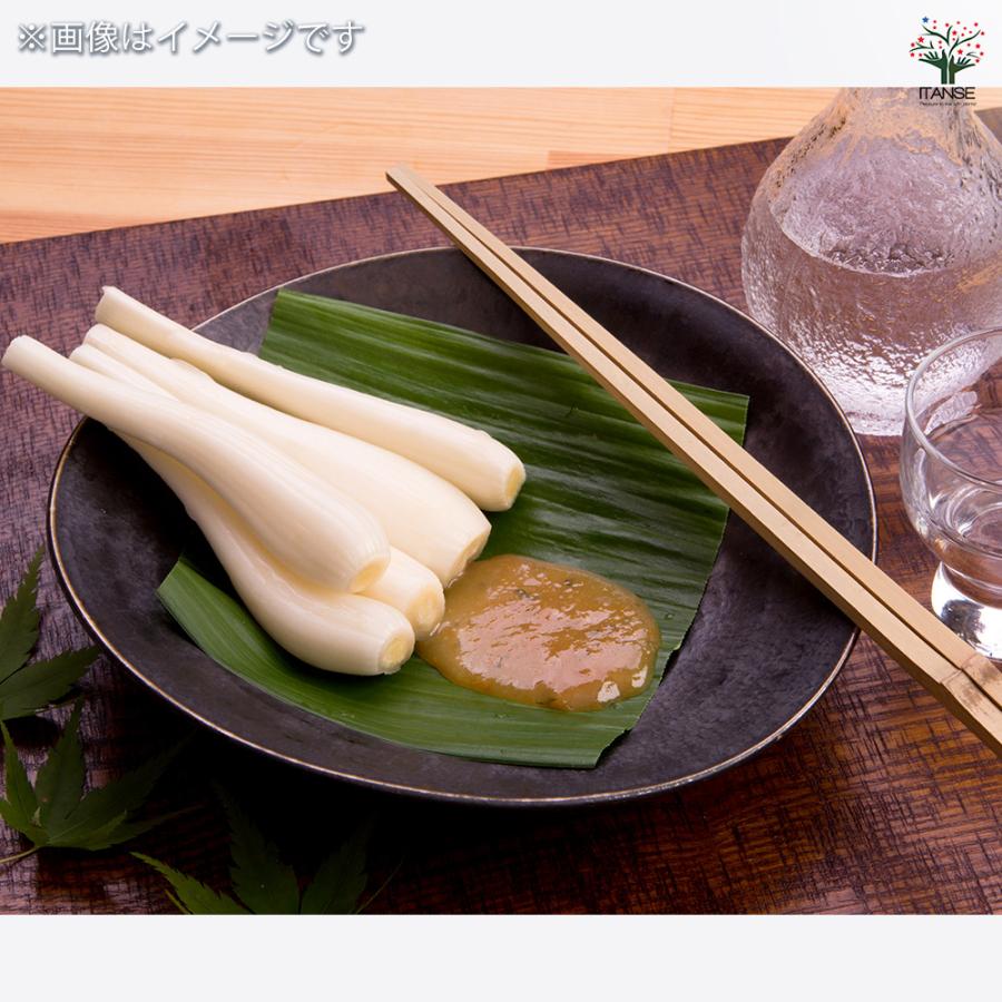 ITANSE 健康野菜球根 エシャレット 野菜の苗 ネット詰め野菜球根 充填