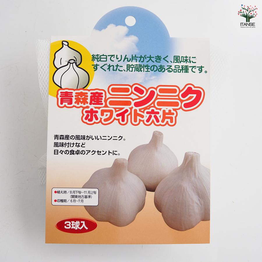 青森産にんにく ホワイト六片 野菜の苗 3球/1個売り 種球 種球根