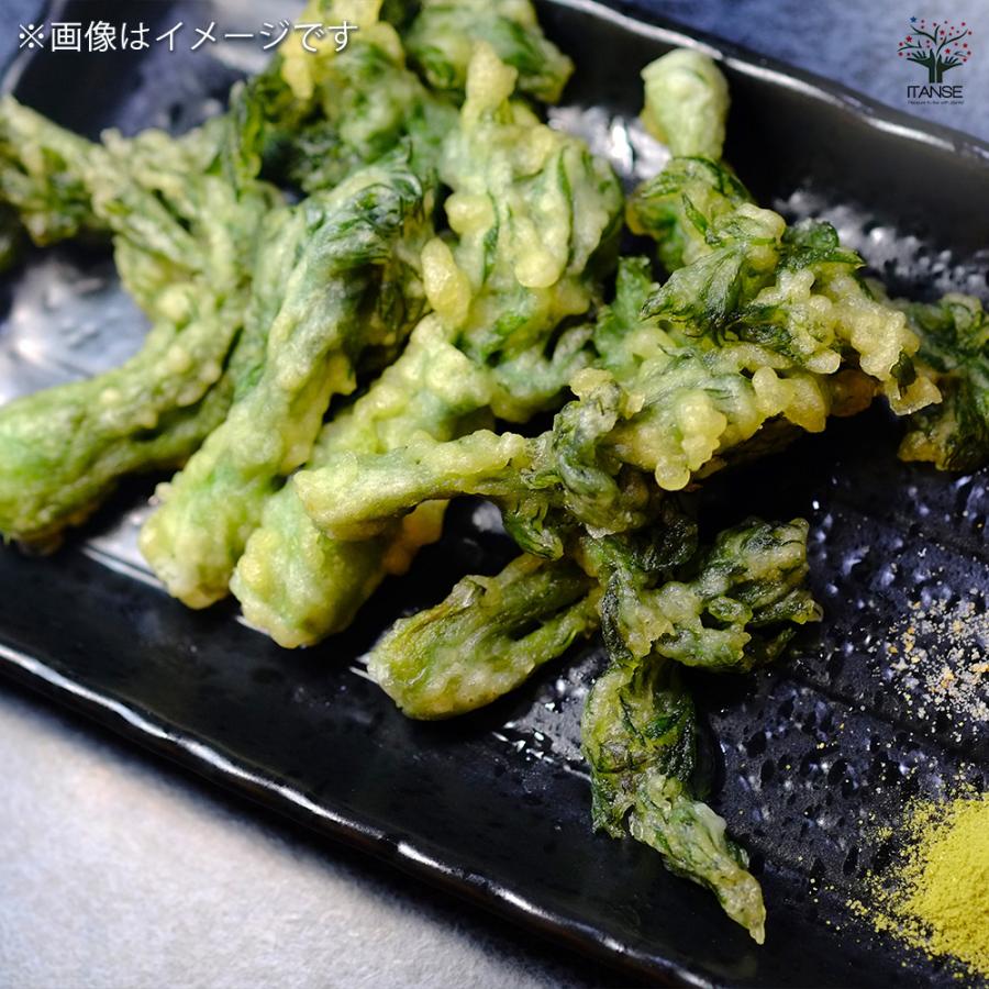 野菜球根 タラの芽 野菜の苗 1株/1個売り 野菜 国産 種球 種球根 球根