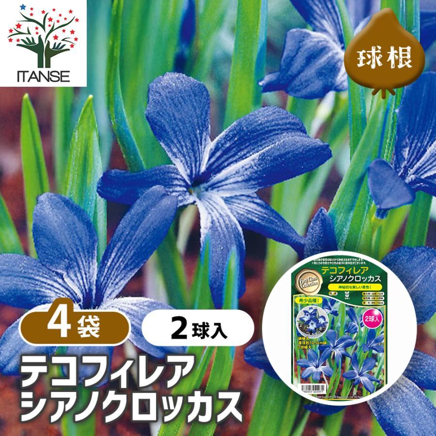 crocus様専用 トナー2本まとめ売り crocus様専用 トナー2本まとめ売り