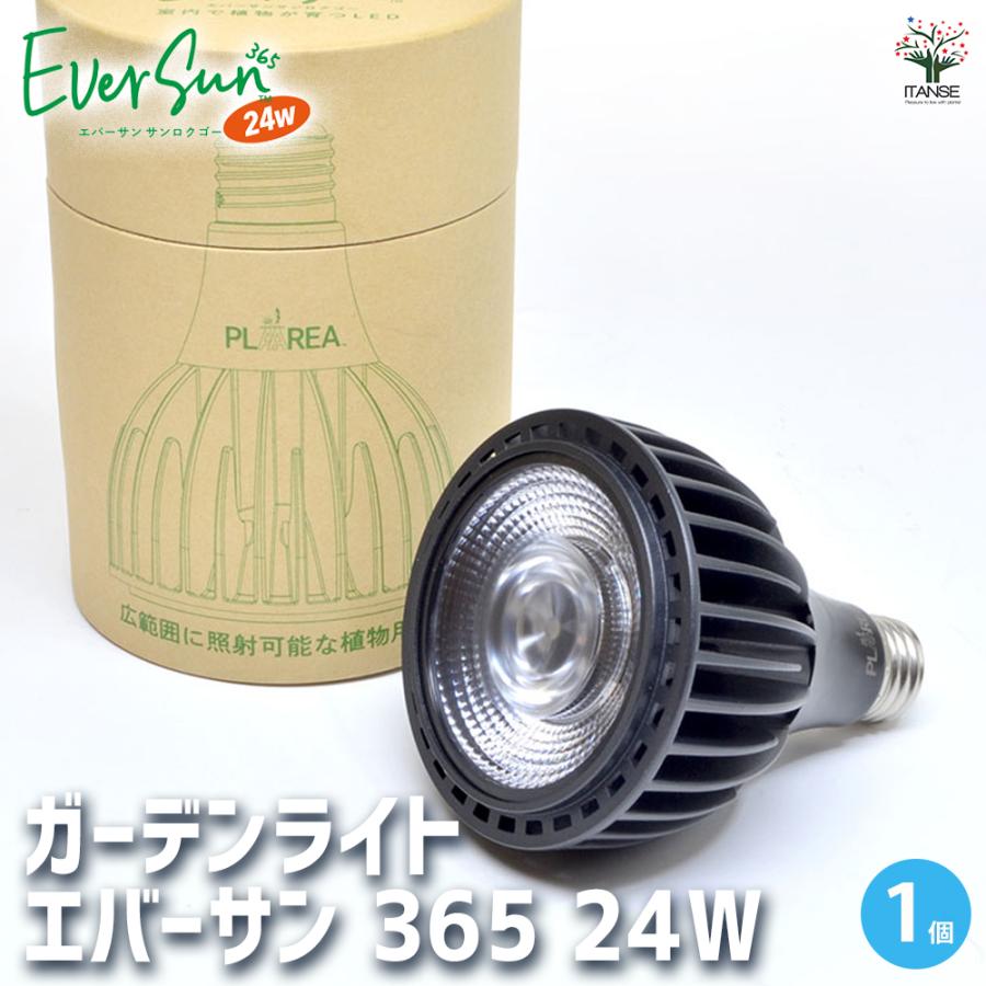 Amazon | ゼンスイ Ever Sun 365（エバーサン サンロクゴ
