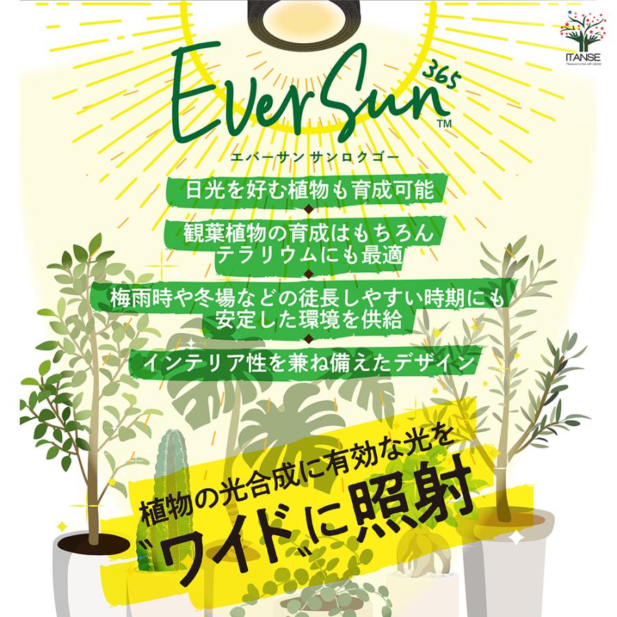 ITANSE 植物育成用ライト エバーサン 365(サンロクゴー) 黒 育成グッズ