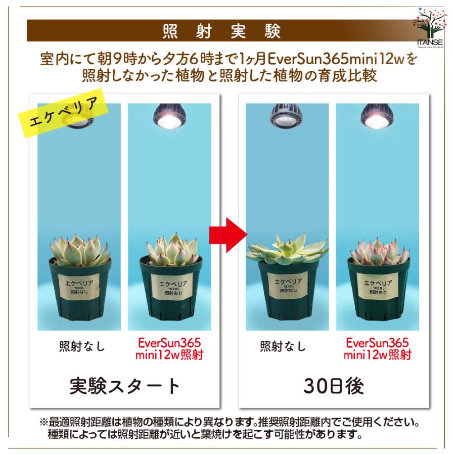 ITANSE 植物育成用ライト エバーサン365(サンロクゴー) 白&スタンド