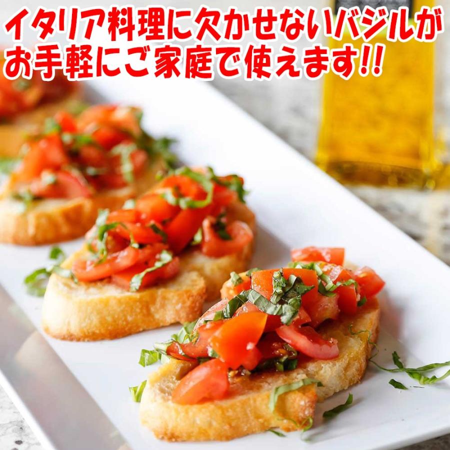 ITANSE バジル苗 スイートバジルの大苗 ハーブ苗 BN硬質18cmポット 1個