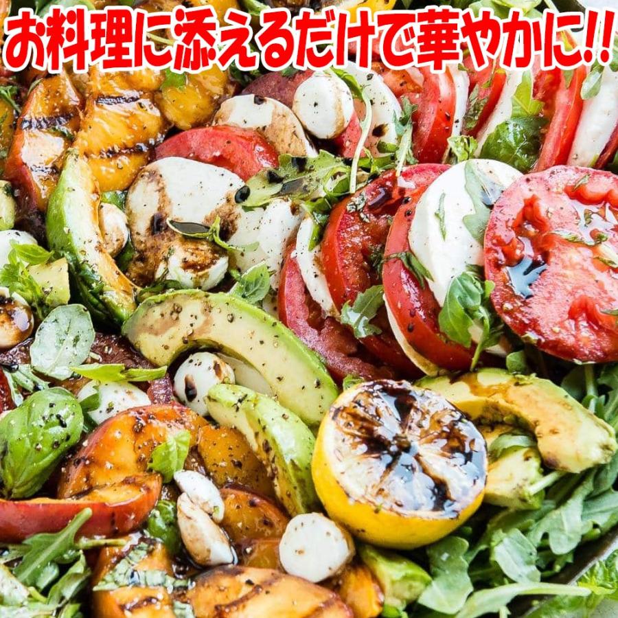 ITANSE バジル苗 スイートバジルの大苗 ハーブ苗 BN硬質18cm