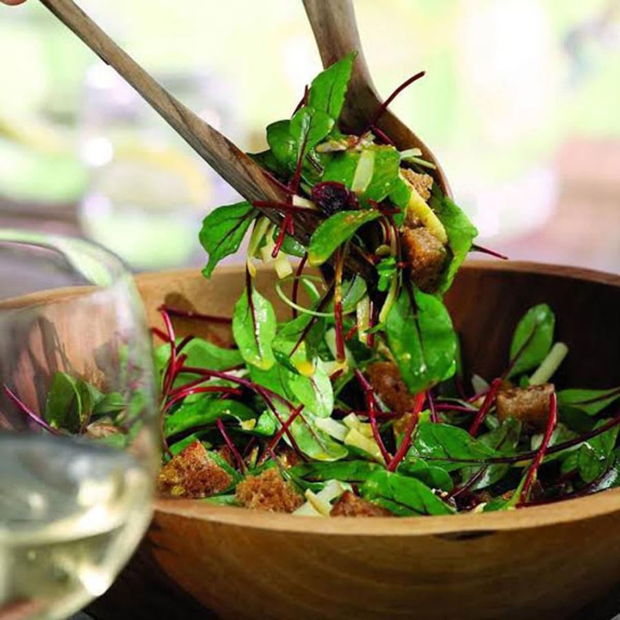 ビーツ苗 ビーツデトロイトの大苗 野菜苗 Bn硬質15cmポット 1個 肥料付き 栽培セット 送料無料 Mad 野菜苗 植物 青果物販売のitanse 通販 Yahoo ショッピング