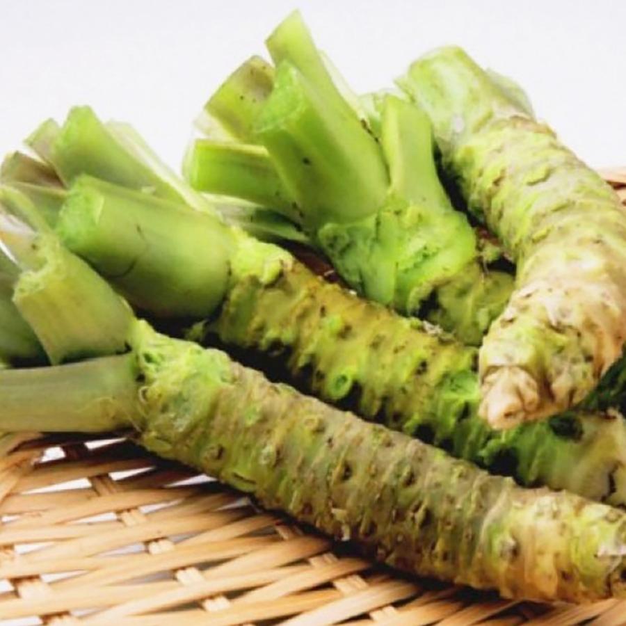 ITANSE わさび苗 六方沢わさび 野菜苗 9cmポット 2個セット 送料無料 イタンセ公式