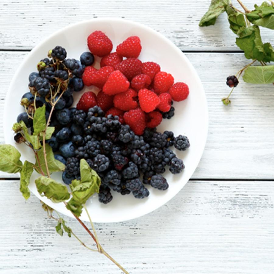 ブルーベリー ホームベル ラビットアイ系 果樹苗 3年生挿し木大苗 15cmポット 1個 送料無料 Nae 野菜苗 植物 青果物販売のitanse 通販 Yahoo ショッピング