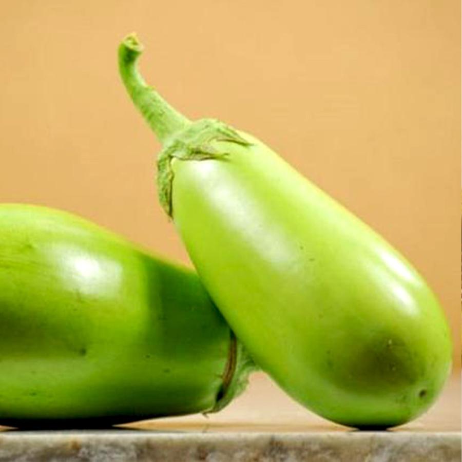 ナスとも ITANSE ナスの苗 トロトロ緑なすび(中長タイプ) 野菜苗 接木苗 9cm